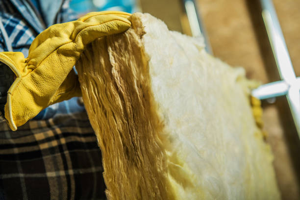 Best Cellulose Insulation in Wanamassa, NJ