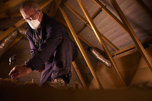 Best Eco-Friendly Insulation in Wanamassa, NJ